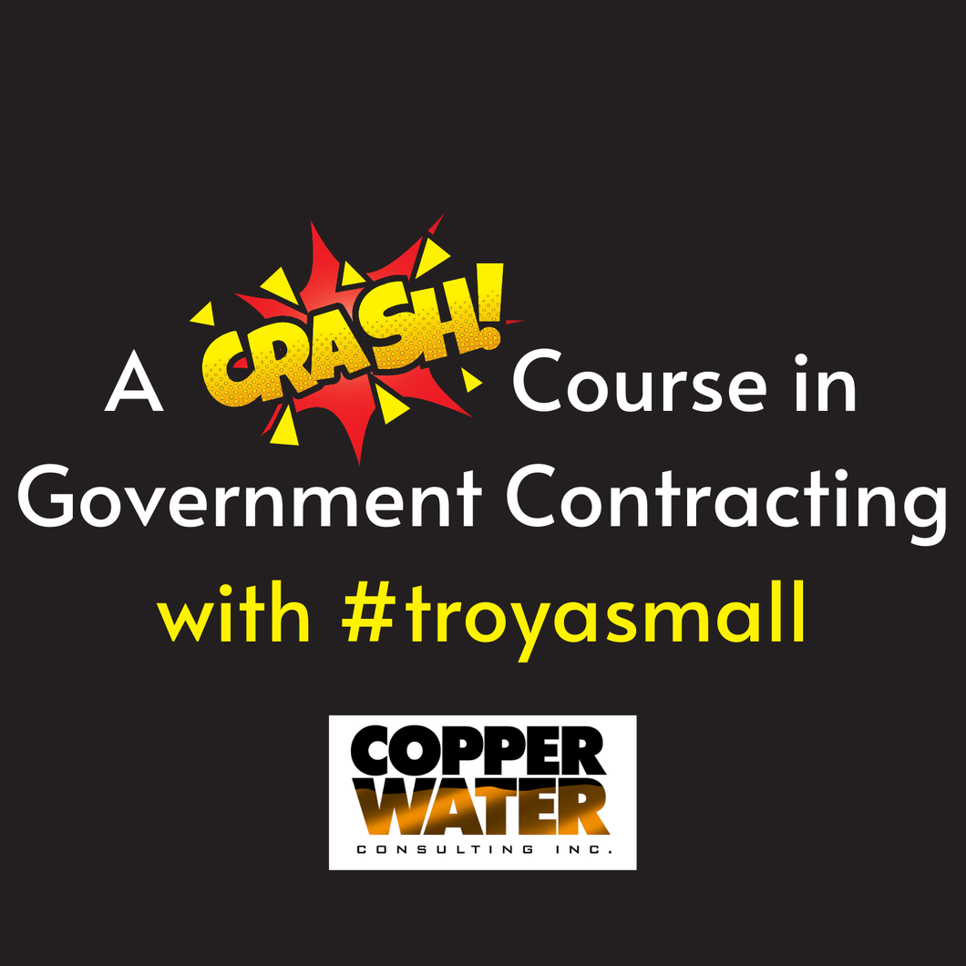 A Crash Course in Government Contracting with #TROYASMALL